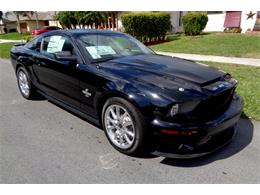 2009 Shelby GT500 (CC-968478) for sale in West Palm Beach, Florida