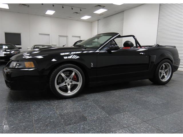 2003 Ford Mustang Cobra (CC-968843) for sale in Dallas, Texas