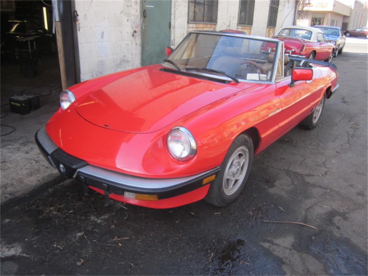 1984 Alfa Romeo 2000 Spider Veloce for Sale | ClassicCars.com | CC-969795