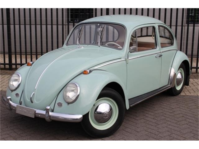 1965 Volkswagen Beetle (CC-972389) for sale in Waalwijk, Noord Brabant