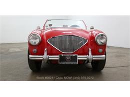 1955 Austin-Healey 100-4 (CC-972617) for sale in Beverly Hills, California