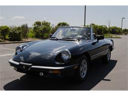 1987 Alfa Romeo Spider (CC-972835) for sale in Fairfield, California