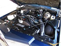 1979 Cadillac Sedan DeVille (CC-973841) for sale in Scottsdale, Arizona