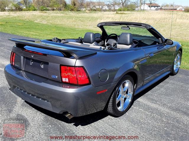 2003 Ford Mustang Roush Stage 3 Convertible (CC-973848) for sale in Whiteland, Indiana