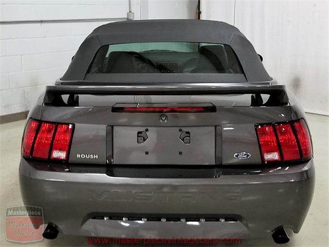 2003 Ford Mustang Roush Stage 3 Convertible (CC-973848) for sale in Whiteland, Indiana