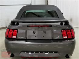 2003 Ford Mustang Roush Stage 3 Convertible (CC-973848) for sale in Whiteland, Indiana