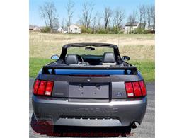 2003 Ford Mustang Roush Stage 3 Convertible (CC-973848) for sale in Whiteland, Indiana