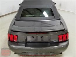2003 Ford Mustang Roush Stage 3 Convertible (CC-973848) for sale in Whiteland, Indiana