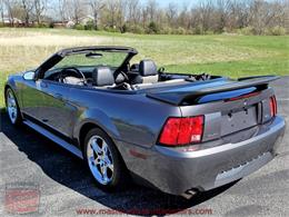 2003 Ford Mustang Roush Stage 3 Convertible (CC-973848) for sale in Whiteland, Indiana