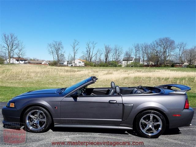 2003 Ford Mustang Roush Stage 3 Convertible (CC-973848) for sale in Whiteland, Indiana