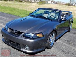 2003 Ford Mustang Roush Stage 3 Convertible (CC-973848) for sale in Whiteland, Indiana