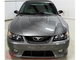 2003 Ford Mustang Roush Stage 3 Convertible (CC-973848) for sale in Whiteland, Indiana