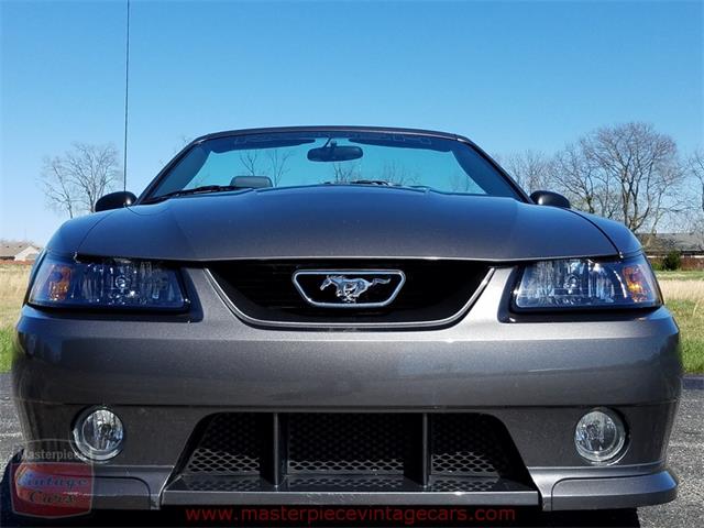 2003 Ford Mustang Roush Stage 3 Convertible (CC-973848) for sale in Whiteland, Indiana