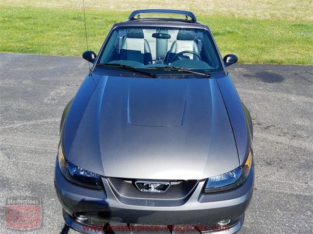 2003 Ford Mustang Roush Stage 3 Convertible (CC-973848) for sale in Whiteland, Indiana