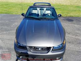 2003 Ford Mustang Roush Stage 3 Convertible (CC-973848) for sale in Whiteland, Indiana