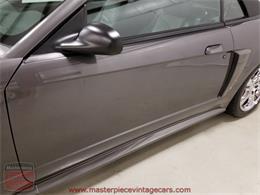 2003 Ford Mustang Roush Stage 3 Convertible (CC-973848) for sale in Whiteland, Indiana