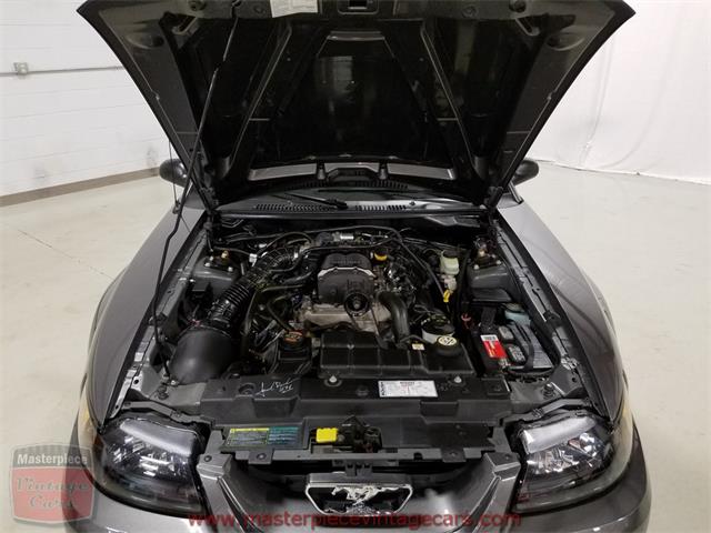 2003 Ford Mustang Roush Stage 3 Convertible (CC-973848) for sale in Whiteland, Indiana