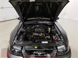 2003 Ford Mustang Roush Stage 3 Convertible (CC-973848) for sale in Whiteland, Indiana