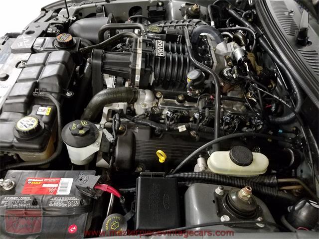 2003 Ford Mustang Roush Stage 3 Convertible (CC-973848) for sale in Whiteland, Indiana