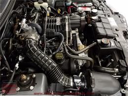2003 Ford Mustang Roush Stage 3 Convertible (CC-973848) for sale in Whiteland, Indiana