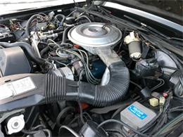 1981 Lincoln Continental Mark VI (CC-974012) for sale in West Babylon, New York