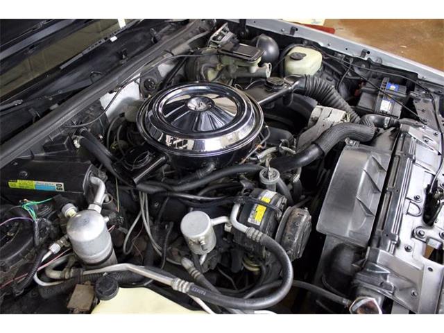 1984 Oldsmobile Cutlass (CC-974252) for sale in Chicago, Illinois