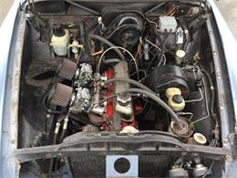 1964 Volvo 122S Amazon (CC-974377) for sale in Hastings, Minnesota