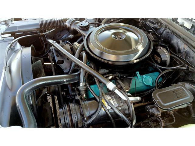 1978 Chevrolet El Camino (CC-974542) for sale in Maple Lake, Minnesota
