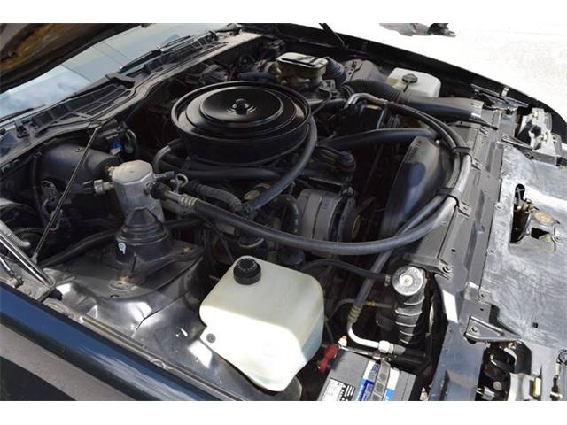 1985 Chevrolet Camaro (CC-974584) for sale in Orlando, Florida