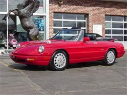 1994 Alfa Romeo Spider Veloce Com Edition (CC-974645) for sale in Brookfield, Wisconsin