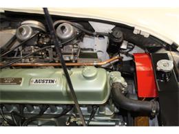 1964 Austin-Healey 3000 Mark III (CC-970500) for sale in Roswell, Georgia