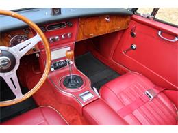 1964 Austin-Healey 3000 Mark III (CC-970500) for sale in Roswell, Georgia