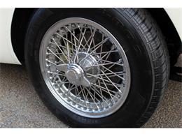 1964 Austin-Healey 3000 Mark III (CC-970500) for sale in Roswell, Georgia