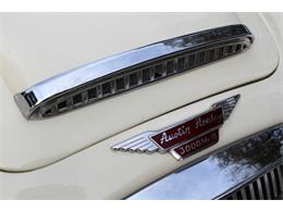 1964 Austin-Healey 3000 Mark III (CC-970500) for sale in Roswell, Georgia