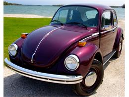 1974 Volkswagen Super Beetle (CC-975463) for sale in Presque Isle, Michigan