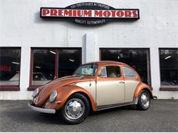 1964 Volkswagen Beetle (CC-975809) for sale in Tocoma, Washington