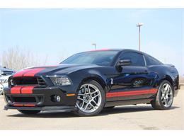 2014 Shelby GT500 (CC-975989) for sale in Sylvan Lake, Alberta