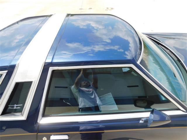 1979 Ford Thunderbird (CC-976553) for sale in Alpharetta, Georgia