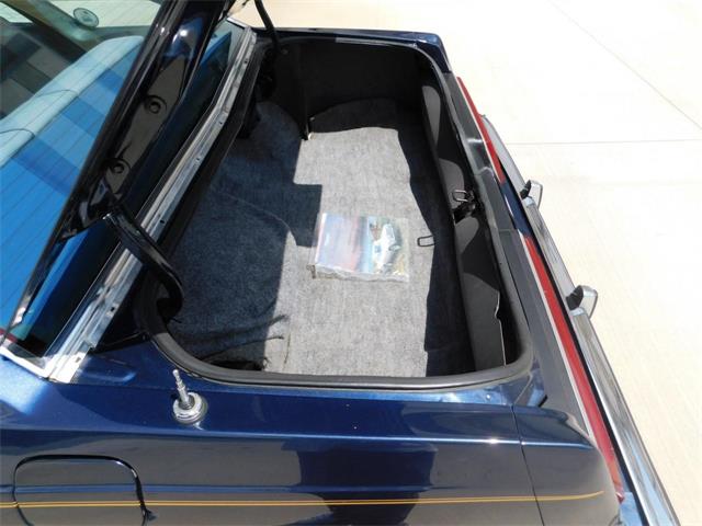 1979 Ford Thunderbird (CC-976553) for sale in Alpharetta, Georgia