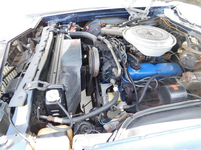 1979 Ford Thunderbird (CC-976553) for sale in Alpharetta, Georgia