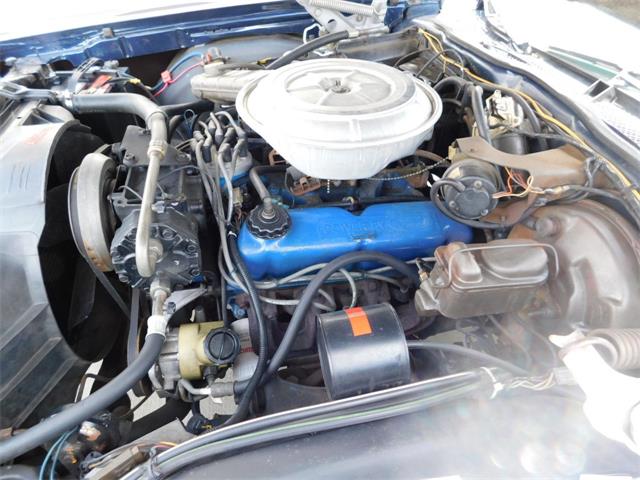 1979 Ford Thunderbird (CC-976553) for sale in Alpharetta, Georgia