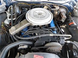 1979 Ford Thunderbird (CC-976553) for sale in Alpharetta, Georgia