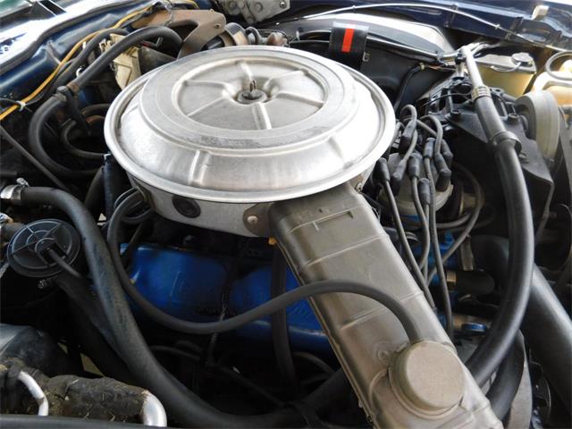 1979 Ford Thunderbird (CC-976553) for sale in Alpharetta, Georgia