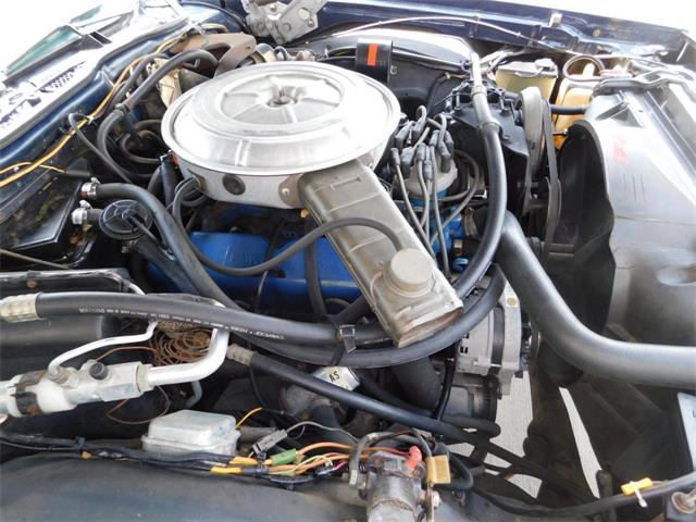 1979 Ford Thunderbird (CC-976553) for sale in Alpharetta, Georgia