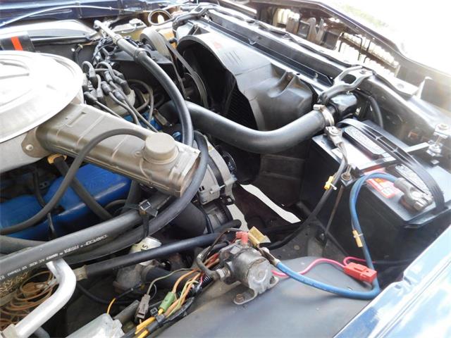 1979 Ford Thunderbird (CC-976553) for sale in Alpharetta, Georgia