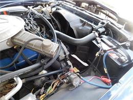 1979 Ford Thunderbird (CC-976553) for sale in Alpharetta, Georgia