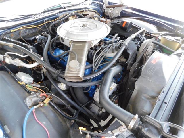 1979 Ford Thunderbird (CC-976553) for sale in Alpharetta, Georgia