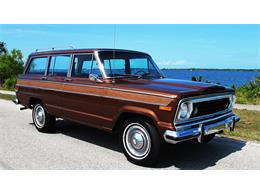 1978 AMC Wagon (CC-976846) for sale in Indianapolis, Indiana
