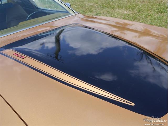 1973 Dodge Charger (CC-977344) for sale in Alsip, Illinois