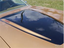 1973 Dodge Charger (CC-977344) for sale in Alsip, Illinois